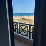 Oasis Lila