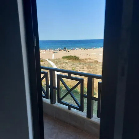 Oasis Lila